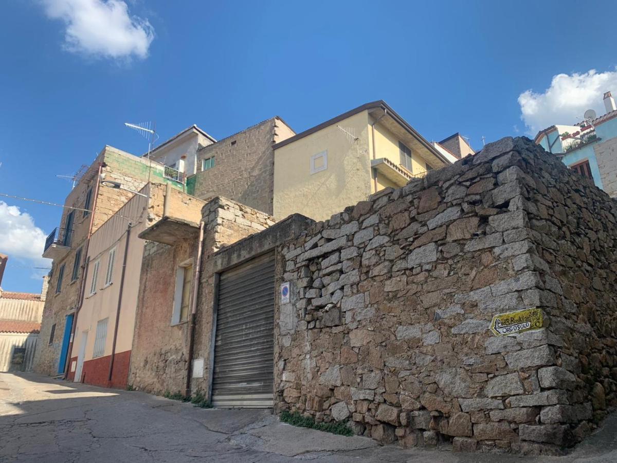 Orgosolo B&B Sardegna ภายนอก รูปภาพ