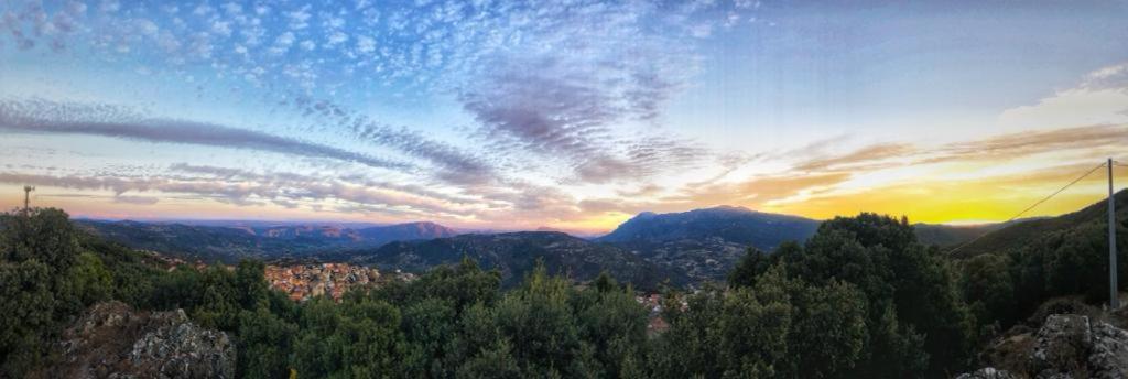 Orgosolo B&B Sardegna ภายนอก รูปภาพ