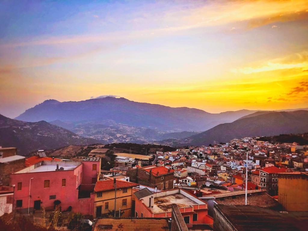 Orgosolo B&B Sardegna ภายนอก รูปภาพ